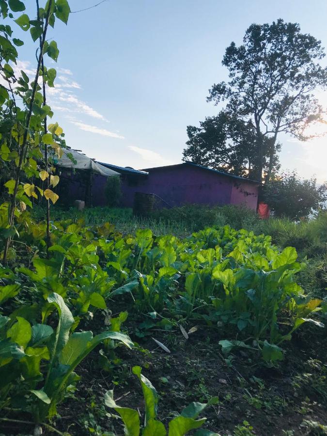 Hom'S Homestay & Farmstay Sarangkot Pokhara Dış mekan fotoğraf