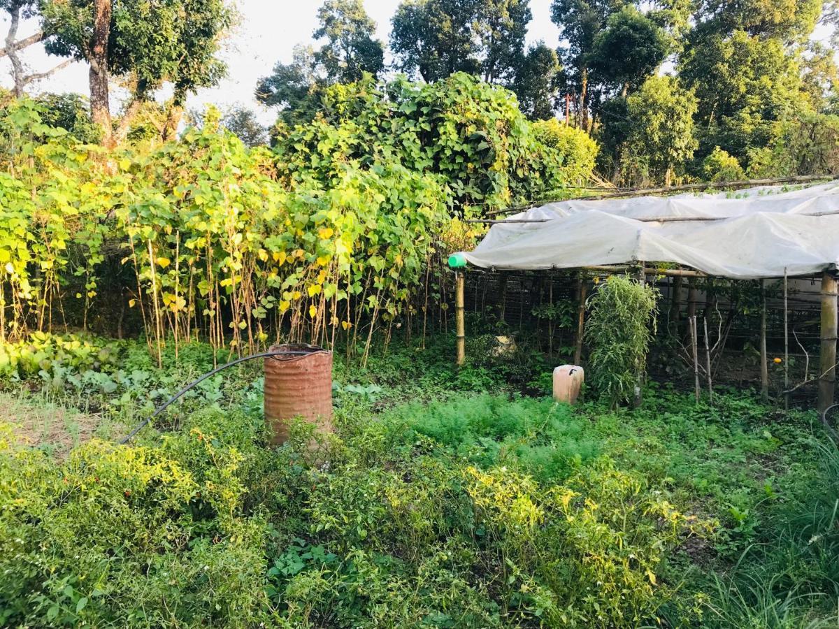 Hom'S Homestay & Farmstay Sarangkot Pokhara Dış mekan fotoğraf