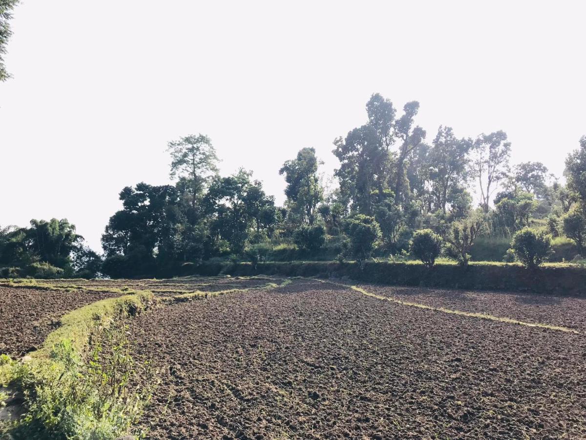 Hom'S Homestay & Farmstay Sarangkot Pokhara Dış mekan fotoğraf