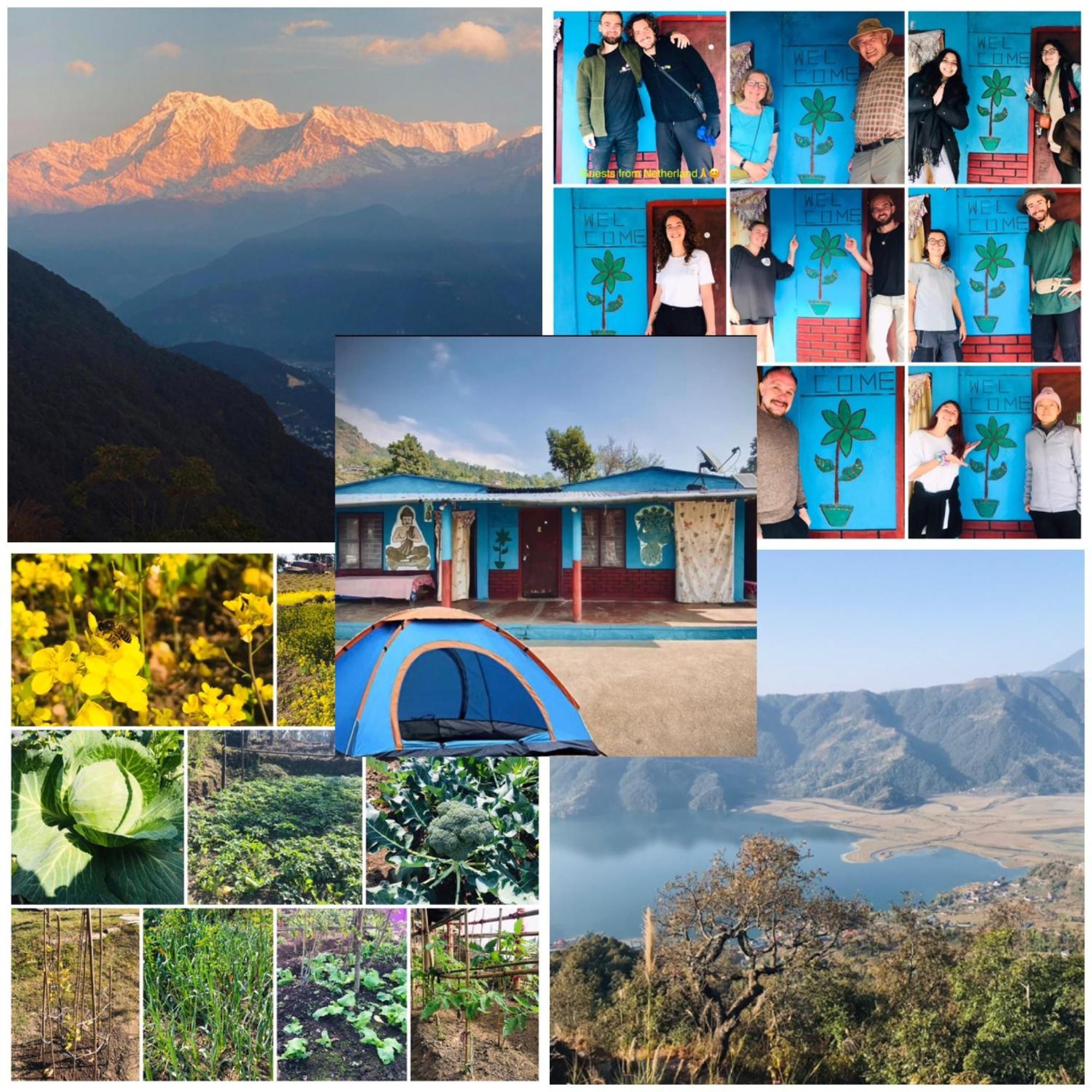 Hom'S Homestay & Farmstay Sarangkot Pokhara Dış mekan fotoğraf