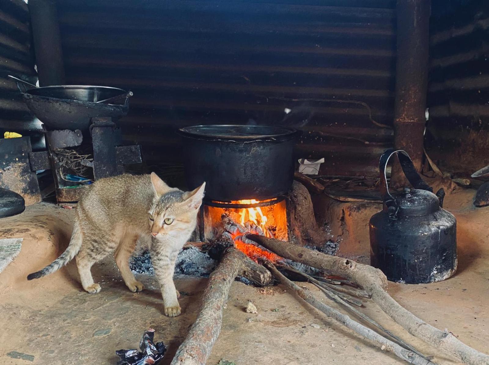 Hom'S Homestay & Farmstay Sarangkot Pokhara Dış mekan fotoğraf